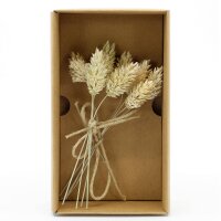 Trockenblume - Style 3 ecru Sortenrein - Artoz - 400-22-03