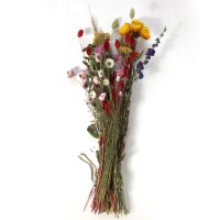 Trockenblumen 50-60cm - Artoz - 400-22-208