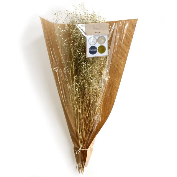 Trockenblume - Gypsophila - Artoz - 400-22-214