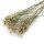 Trockenblume - Limonium 50-70 cm white - Artoz - 400-22-227