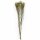Trockenblume - Limonium 50-70 cm white - Artoz - 400-22-227