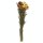 Trockenblume - Helichrysum 50 cm salmon - Artoz - 400-22-228