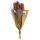 Trockenblume - Wild reed plume Vinz 75cm light pink - Artoz - 400-22-236