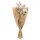 Trockenblume - Lagurus natural - Artoz - 400-22-239