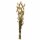 Trockenblume - Lagurus natural - Artoz - 400-22-239