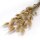 Trockenblume - Lagurus natural - Artoz - 400-22-239