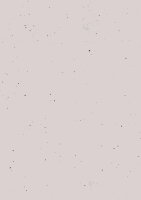 215gm - Greenline Karten A4 birch - Artoz - 684696-211