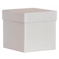 PURE Box L weiss - Artoz - 147106-211