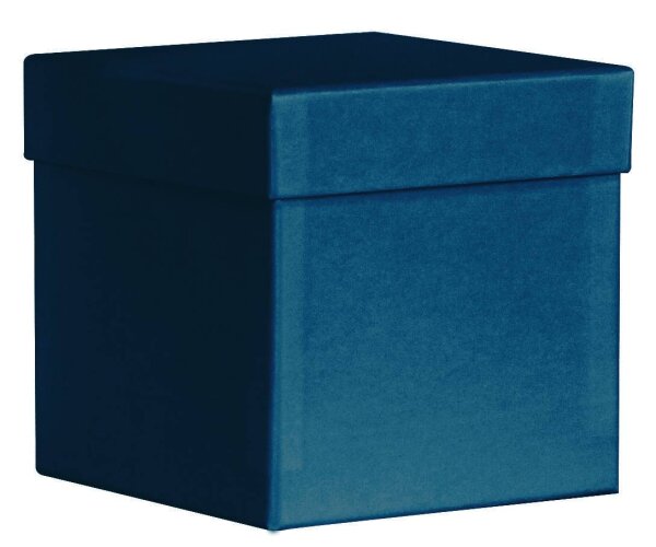 PURE Box L Saphir - Artoz - 147106-419