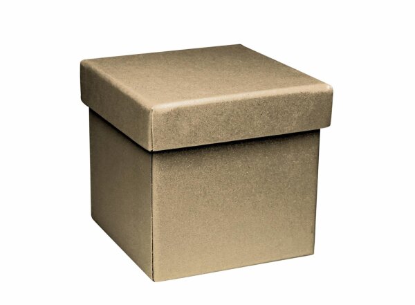 PURE Box L white shine - Artoz - 147106-858