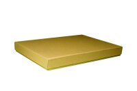 PURE Box A6 gold shine - Artoz - 147144-828