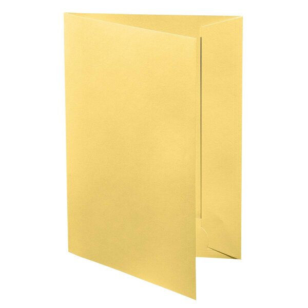 A4_220gm - Presenta-Mappe 1001 chamois - Artoz - 650042-241