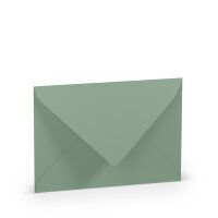 Paperado-Briefumschlag DIN C6 m. Sf., Eucalyptus -...