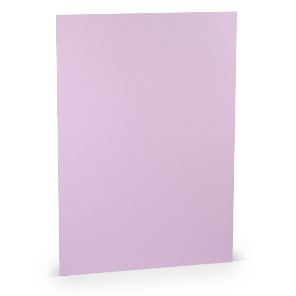 Paperado-Karton DIN A4 160 g/m², orchidee - Rössler - 16402645