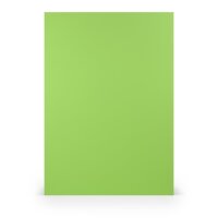 Paperado-Karton DIN A3 220 gm, Apple - Rössler -...