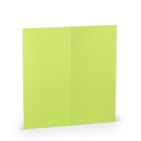 Paperado-Karte DL hd-pl, Maigrün - Rössler -...