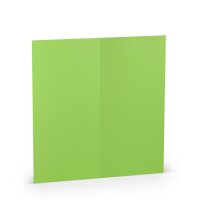 Paperado-Karte DL hd-pl, Apple - Rössler - 16406964