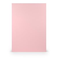 Paperado-Karton DIN A4 220 g/m², Flamingo -...