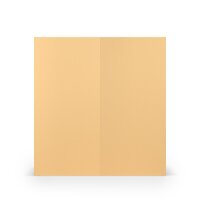 Paperado-Karte DL hd-pl, Melon - Rössler - 164069122