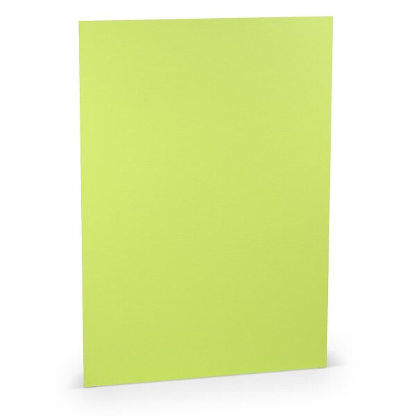 Paperado-5er Pack Blätter DIN A4 220, Maigrün - Rössler - 1103012022