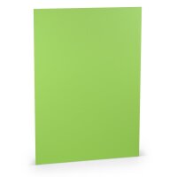 Paperado-5er Pack Blätter DIN A4 220, Apple -...