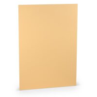 Paperado-10er Pack Blätter DIN A4 160, Melon -...