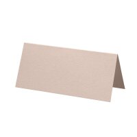 220gm_100x90mm - 1001 Tischkarten taupe - Artoz - 650102-586