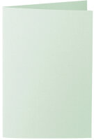 220gm - 1001 Karten B6 mint - Artoz - 650362-330